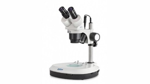 Kern OZO-5 Microscope stéréo