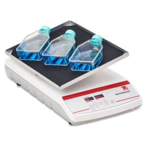 Rocking And Waving AMain 600x600 4