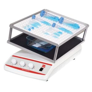 Rocking And Waving Double 600x600 4