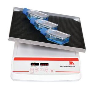 Rocking And Waving Front 600x600 2 4