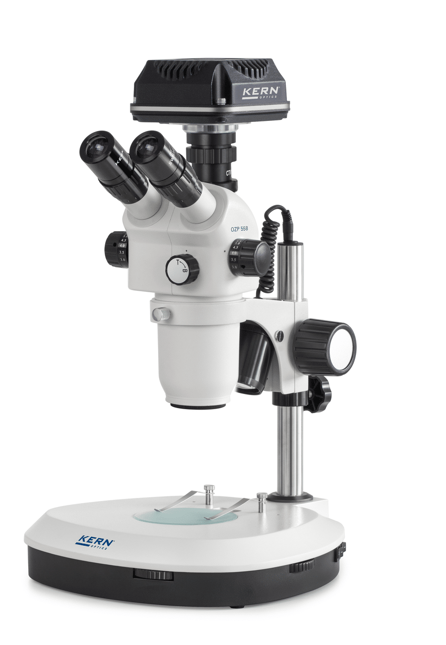 OZP 558C832