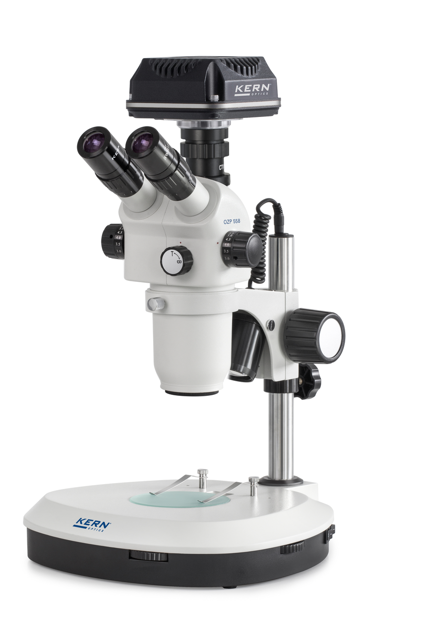OZP 558C832