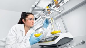 Chambre de pesée haute du Sartorius Entris II